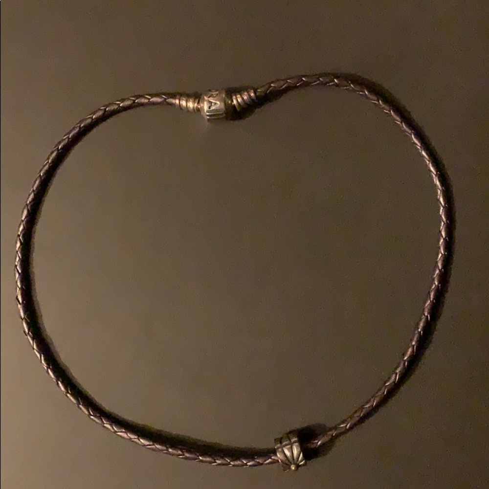 Pandora Necklace with Charm